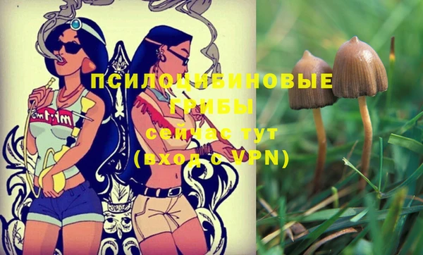 винт Елабуга