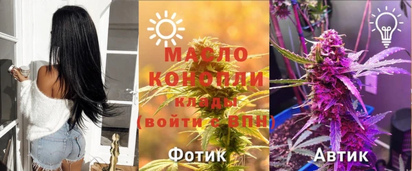 винт Елабуга