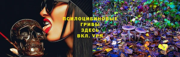 винт Елабуга